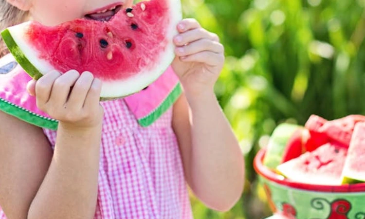 Lunch Ideas for Summer