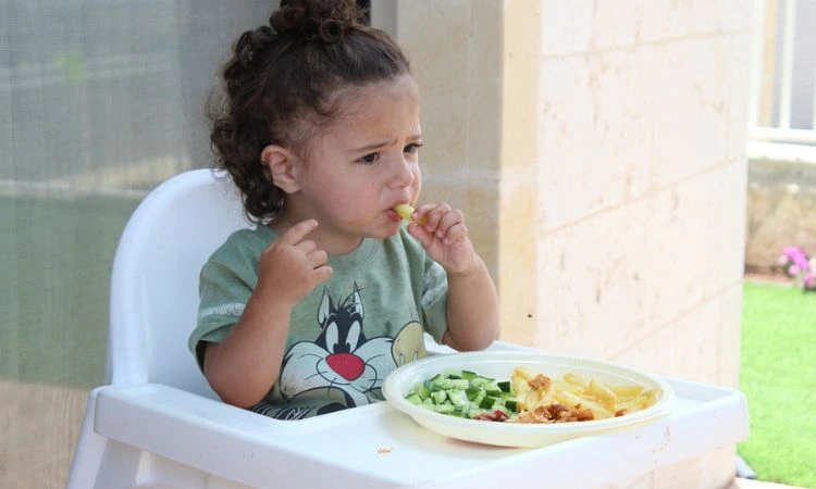 Best Toddler Dinner