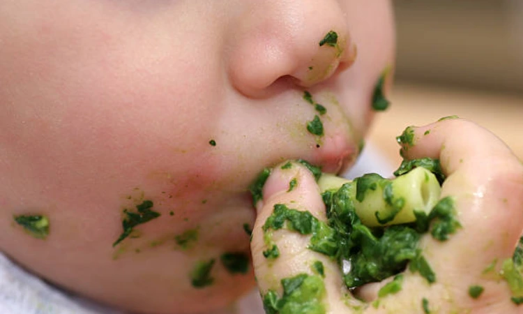 Finger Foods