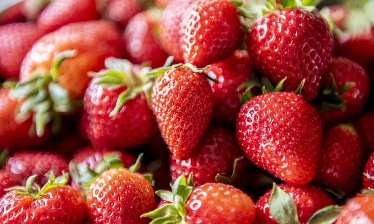 Summer Salad Recipes With Strawberry