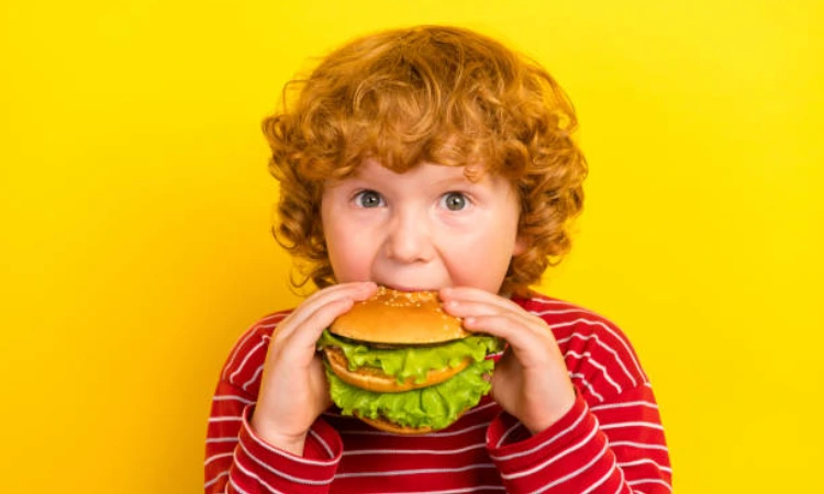 Hamburger Recipes