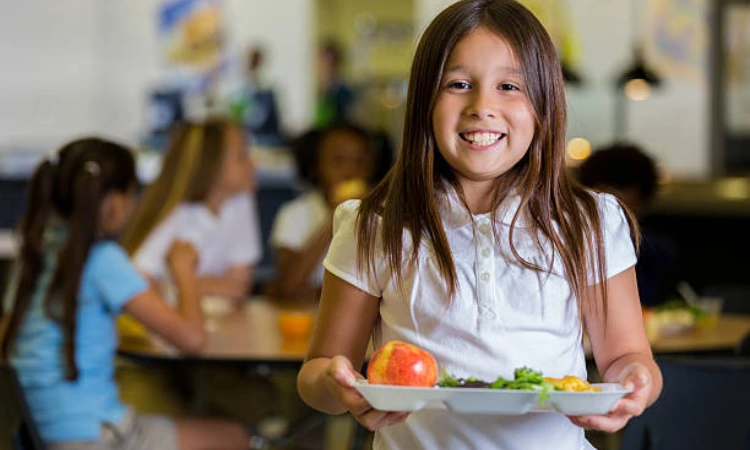 Toddler Lunch Ideas