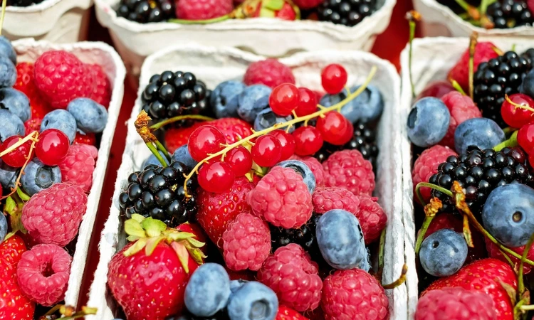 fruit based egyptian food
