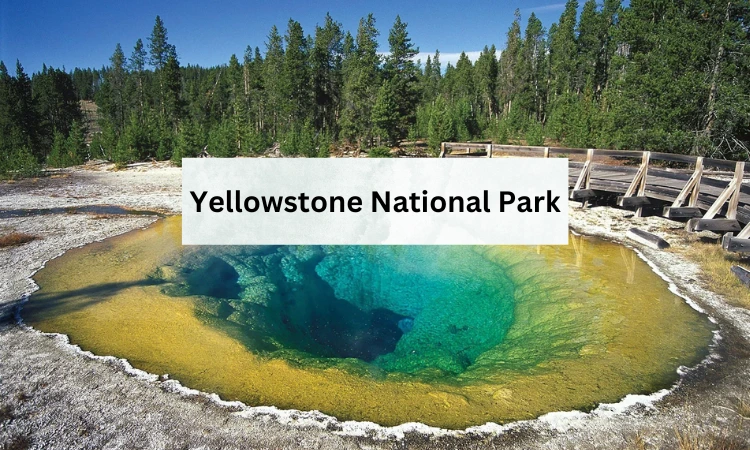 Yellowstone National Park