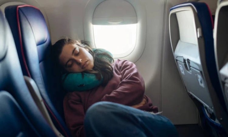 Travel Pillow: