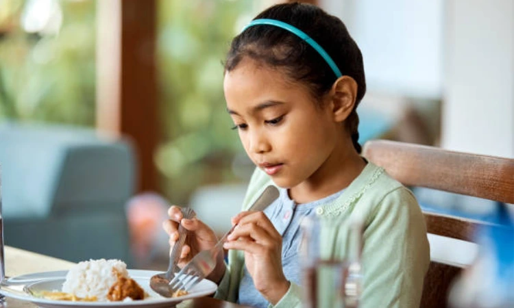 Toddler Lunch Ideas