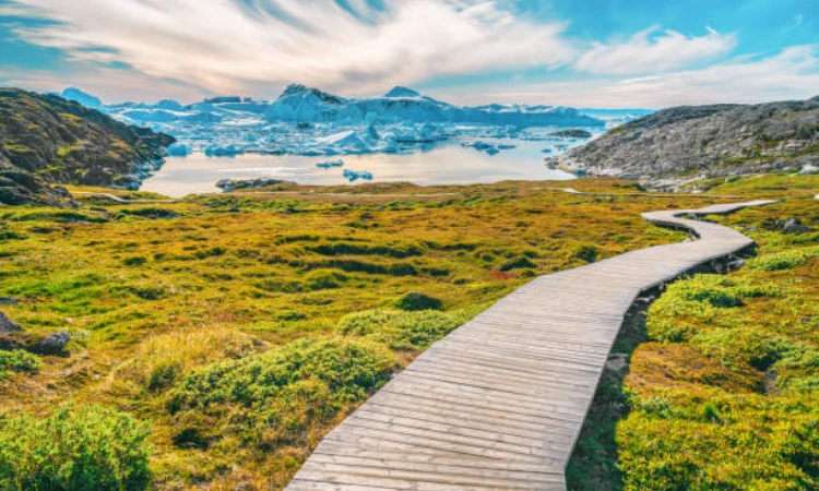 Greenland in Summer