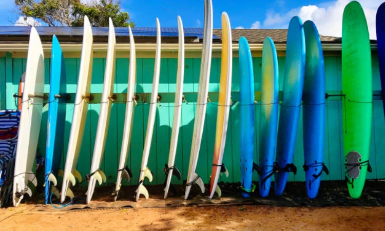 Surf Lessons in Malibu