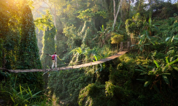 united states travel bucket list