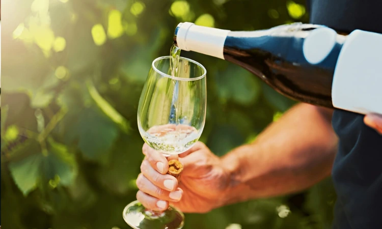 chardonnay flavor profile