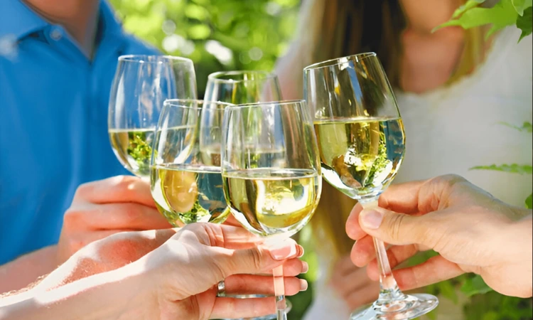 chardonnay wine taste