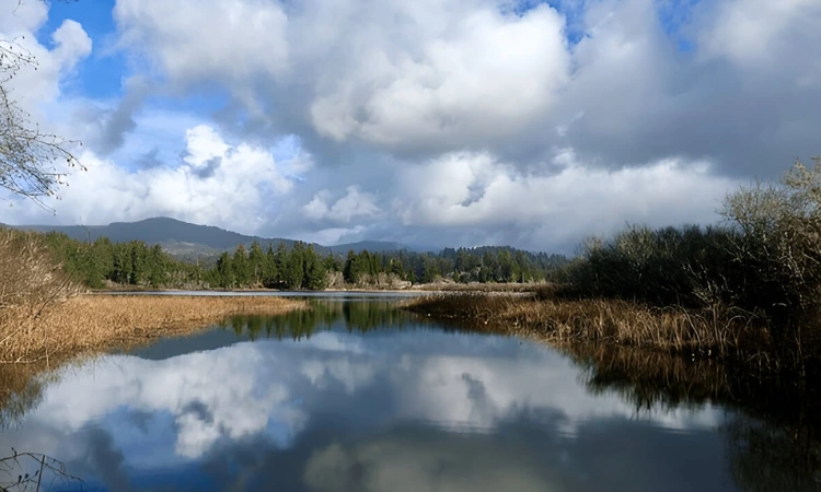 Things to do in Florence Oregon