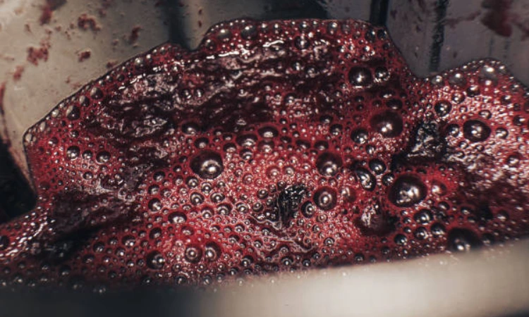 Common Mistakes While Making Red Wine Jus