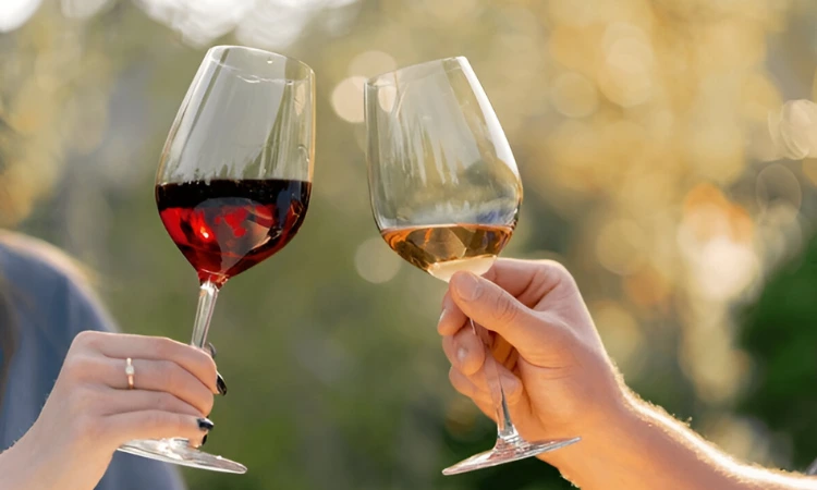 wine tasting notes